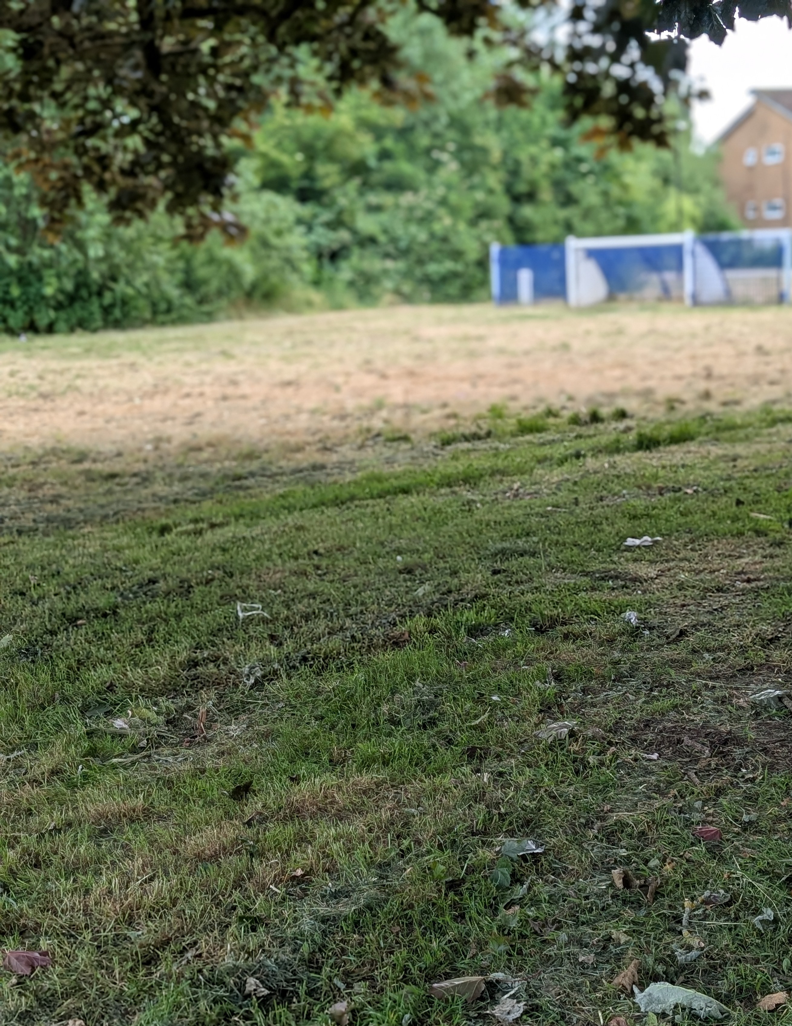 Ground After Cleaning
